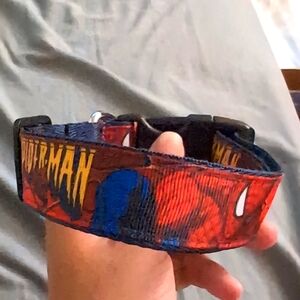 Spiderman dog collar